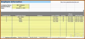 Employee Payroll Information Template