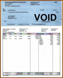 Employee Payroll Statement Template