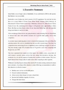 Esthetician Spa Business Plan Template