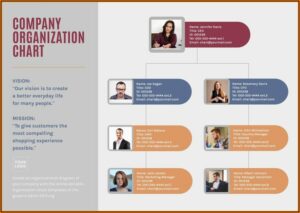 Free Organizational Charts Templates Online