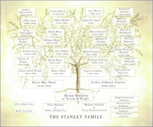 Genealogy Family Tree Chart