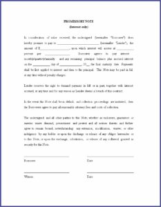 Legal Promissory Note Sample India