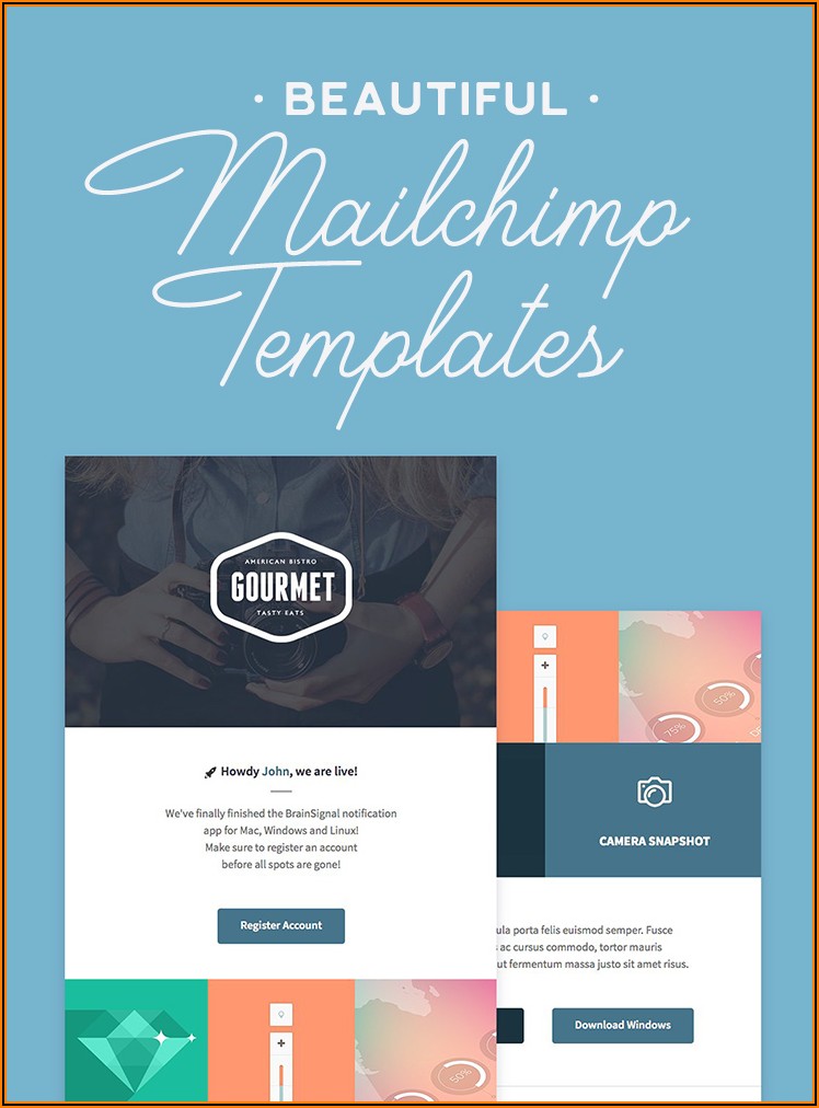 Mailchimp Templates Design
