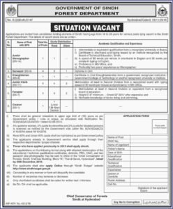 Mcdonalds Application Form Australia