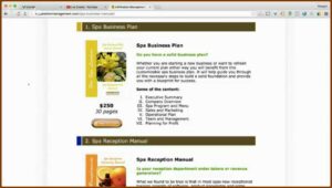 Med Spa Business Plan Template