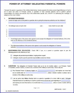 Medical Power Of Attorney Form For Minor Child Florida