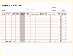 Payroll Ledger Forms