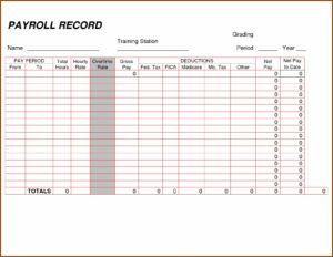 Payroll Report Employee Payroll Ledger Template