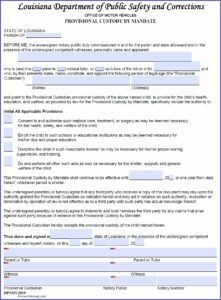 State Of Louisiana Medical Power Of Attorney Form