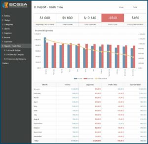 Business Cash Flow Template Excel