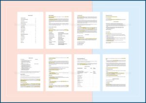 Consulting Business Plan Template Word