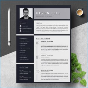 Cv Resume Template Free