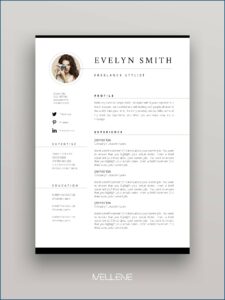 Cv Template For Mac
