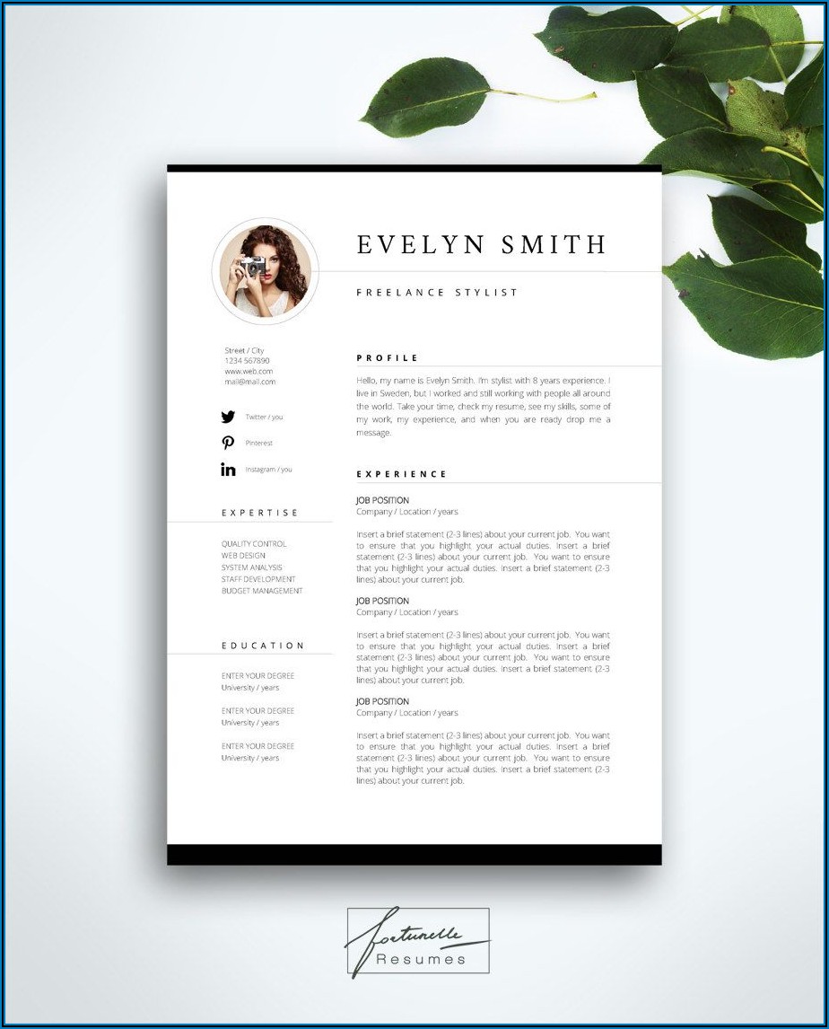 Cv Template For Mac Pages