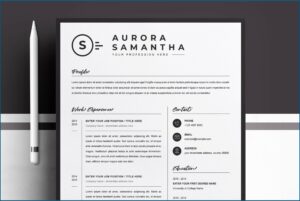 Cv Template Mac Word