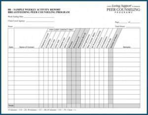 Daily Sales Activity Report Template Excel