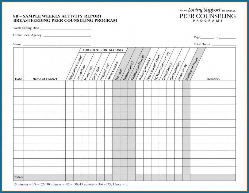 Daily Sales Activity Report Template Excel