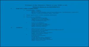 Format Of Profit And Loss Statement