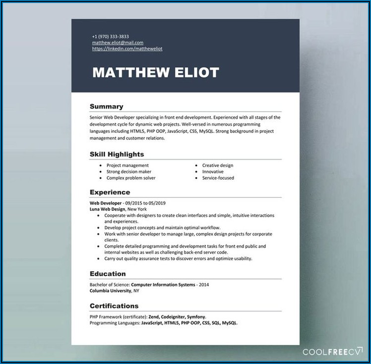 Free Resume Template Word Doc