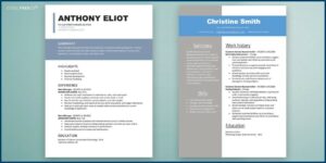 Free Resume Template Word Document