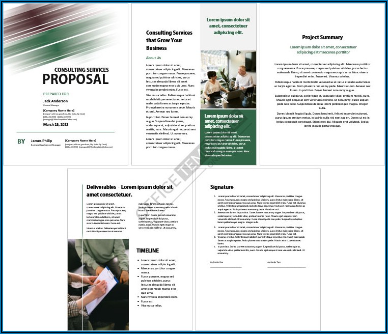 Microsoft Word Consulting Proposal Template