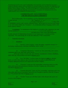 Non Compete Agreement Format