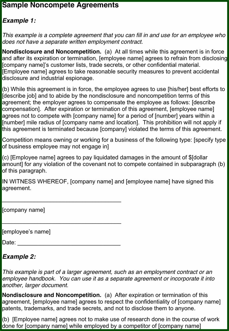 Non Compete Agreement Sample