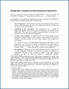 Non Compete Clause Example