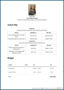 Nonprofit Fundraising Development Plan Template