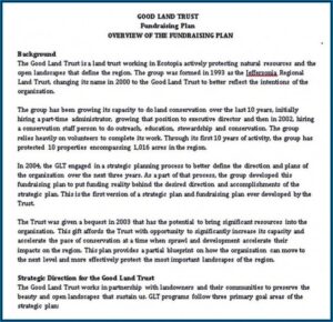 Nonprofit Fundraising Plan Sample