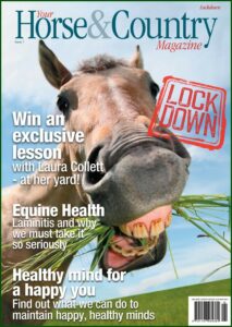 Petplan Claim Form Horse