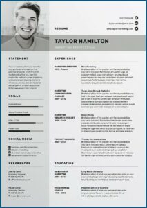 Professional Resume Cv Template Free