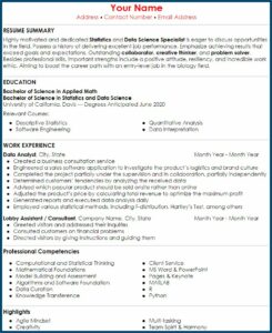 Self Employed Contractor Resume Sample