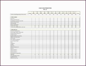 Small Business Cash Flow Template