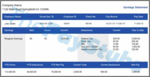 Fake Pay Stub Templates