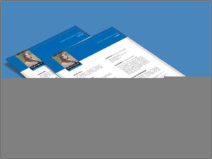 Free Combination Resume Template Download