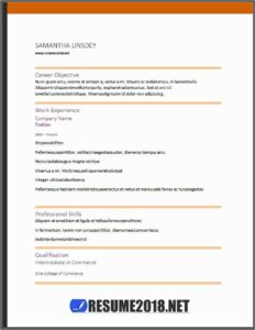 Free Combination Resume Template Word