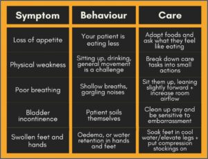 Hospice Care Plan Template