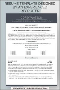 Professional Accounting Cv Template