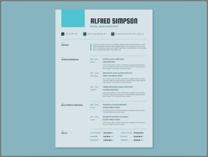 Resume Template For Sales Position