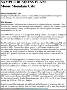 Sole Proprietorship Business Plan Template