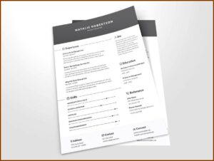 Best Free Word Resume Templates 2020