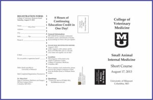 Church Organizational Chart Template