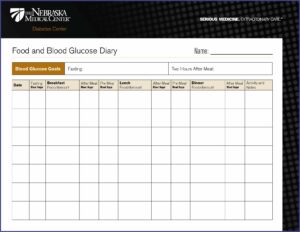 Diabetic Daily Food Diary Template