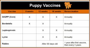 Dog Shot Record Chart