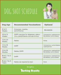 Dog Shot Record Chart Pdf