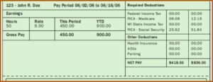 Fake Pay Stub Sample
