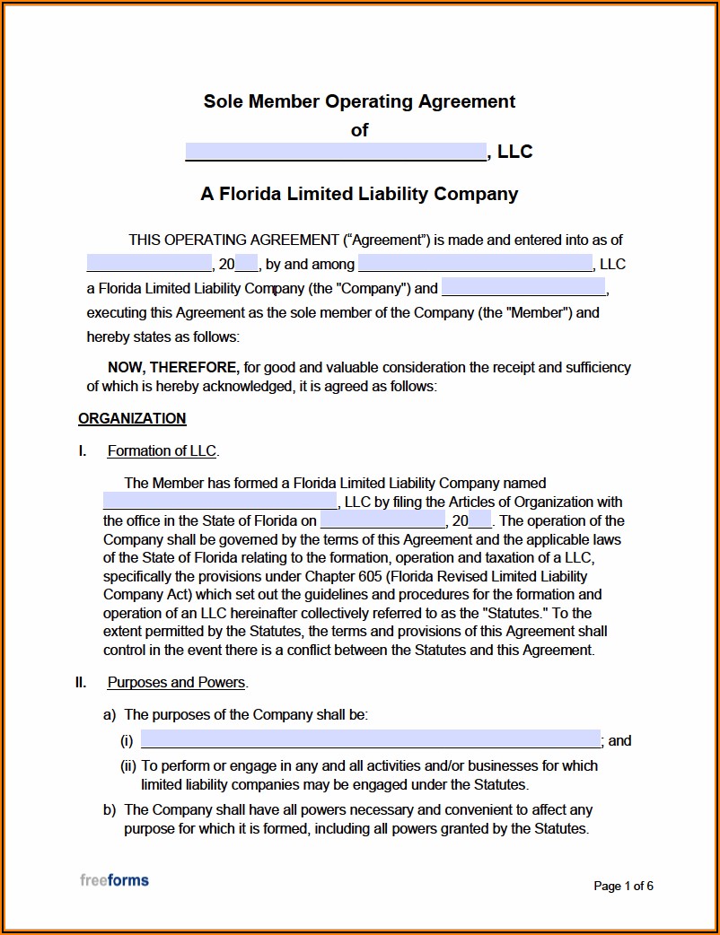 Florida Llc Operating Agreement Template