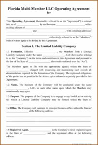 Florida Multi Member Llc Operating Agreement Template