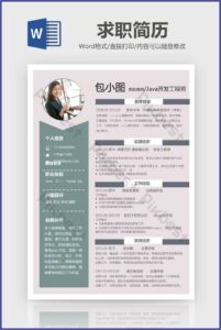 Free Business Development Resume Template